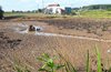 Thị xã An Khê có 77,06 ha cây trồng bị thiệt hại do nắng hạn