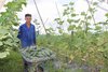 Gia Lai tăng cường quản lý hoạt động kinh doanh, sử dụng thuốc bảo ...