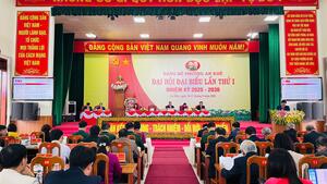 DH_lan_1_An_Khe_3_fb54b