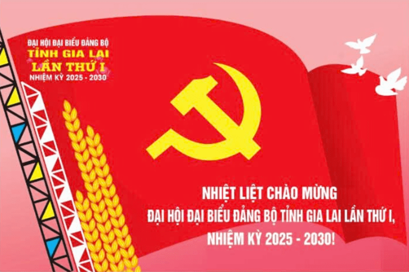 Thông tin về Đại hội đại biểu Đảng bộ tỉnh lần thứ I, nhiệm kỳ 2025 – 2030